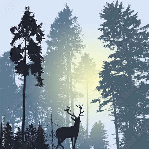 Landscape with silhouette of forest trees and deer
