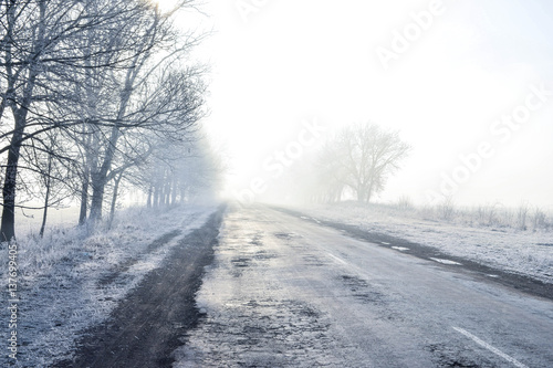 Trees in winter when the road