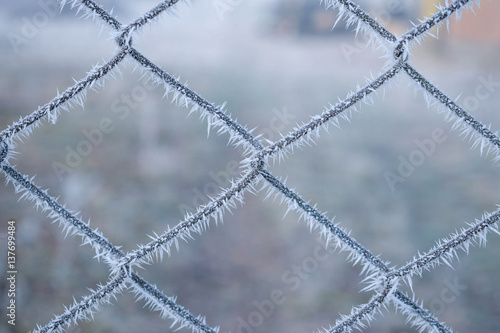 Fence netting in snowflakes. Winter background