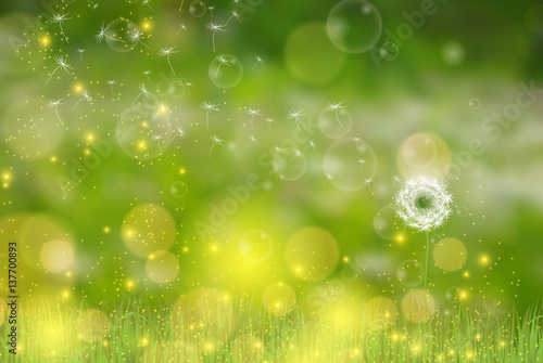 Vector Dandelion blowing nature green background