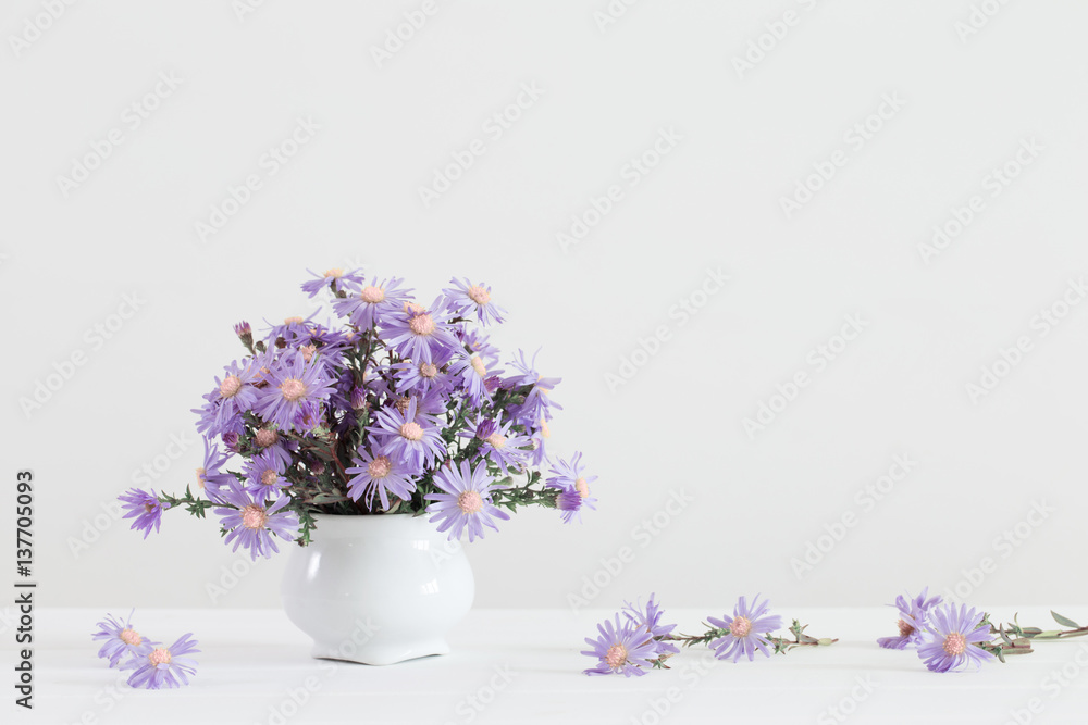 Fototapeta premium Aster amellus bouquet in ceramic vase on white background
