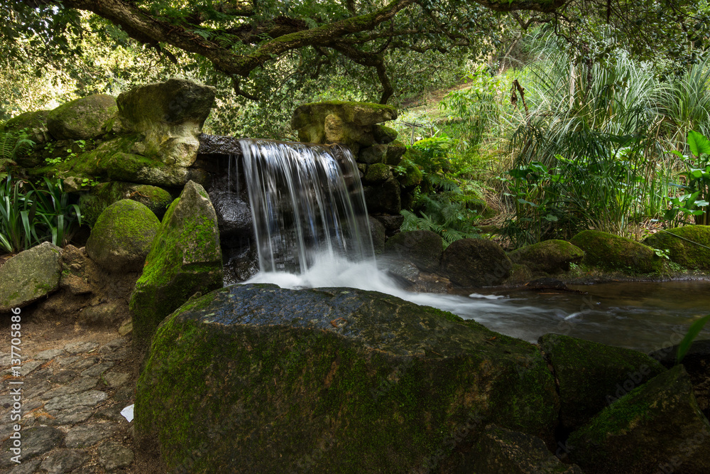 Mountain creek with fresh green moss on the stones, long exposure for soft water look