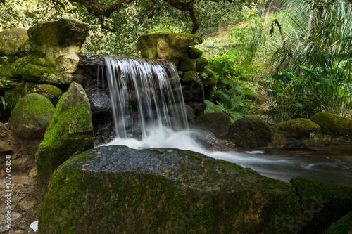 Mountain creek with fresh green moss on the stones  long exposure for soft water look