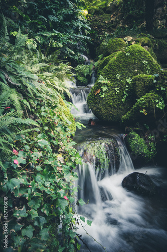 Mountain creek with fresh green moss on the stones  long exposure for soft water look