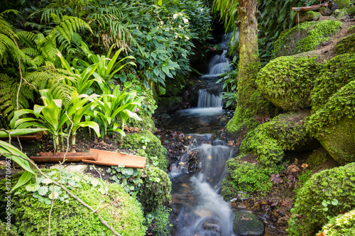 Mountain creek with fresh green moss on the stones  long exposure for soft water look