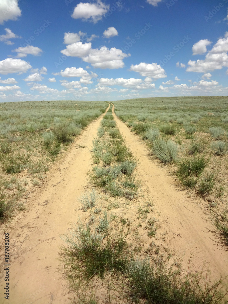 Infinite desert road in the Western Kazakhstan against a blue sky Infinite desert road in the Western Kazakhstan against a blue sky