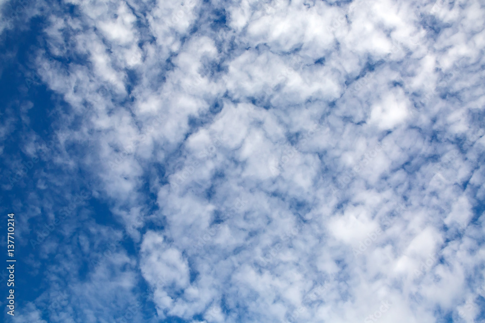 Sky panoramic and fancy curly clouds. Heavenly background in a highly patterned top. Free space atmospheric flight and freedom. Sky panoramic and fancy curly clouds. Heavenly background in a highly patterned top. Free space atmospheric flight and freedom.