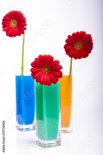 Ładne kwiaty w kolorowych wazonach