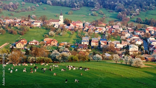 Spring landscape in Slovakia. Rural countryside in Polana region. Fields and meadows with blooming cherries