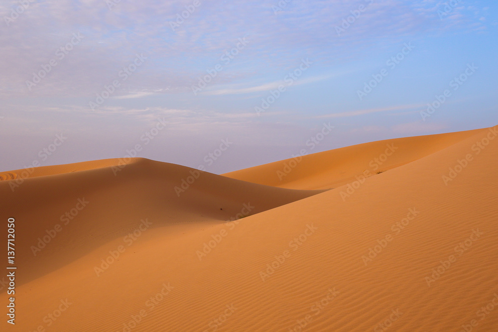 Désert et dunes de sable