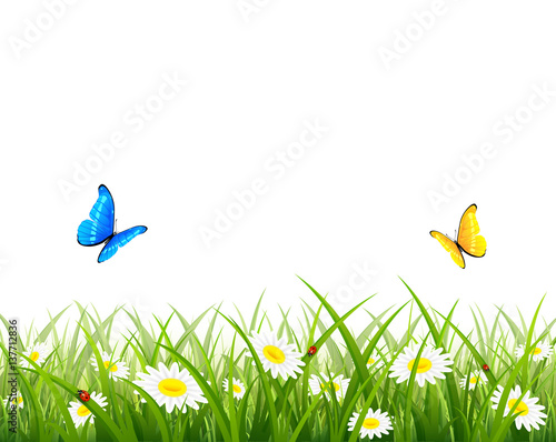 Naklejka Motyle latające nad trawą i kwiatami