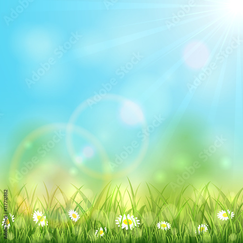 Nature background with flowers