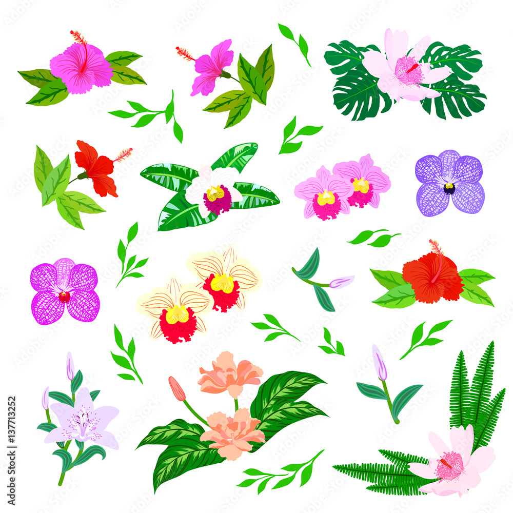 Tropical flowers and plants set Tropical flowers and plants set
