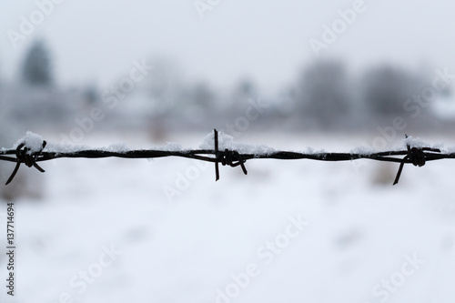 Barbed wire covered by snow during winter. Slovakia