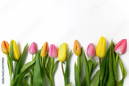 Orange, yellow and pink tulips on white
