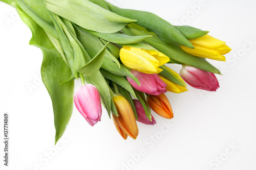 Orange, yellow and pink tulips on white