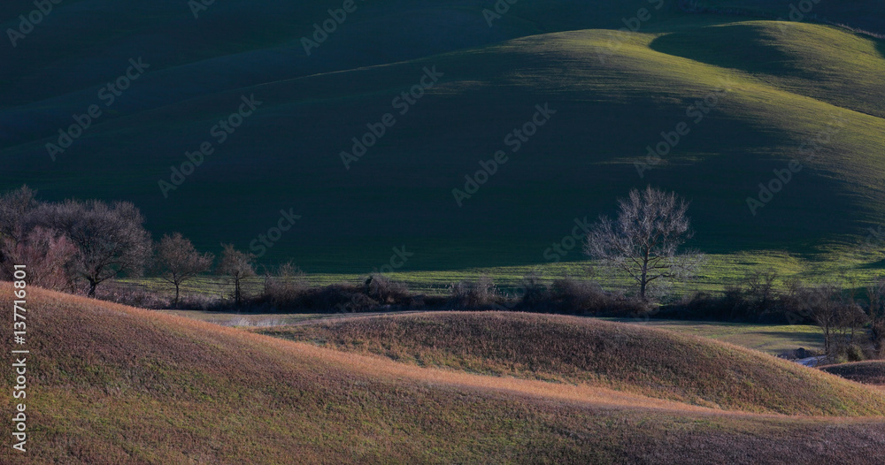 Typical panoramic landscape of Tuscany hills, Italy