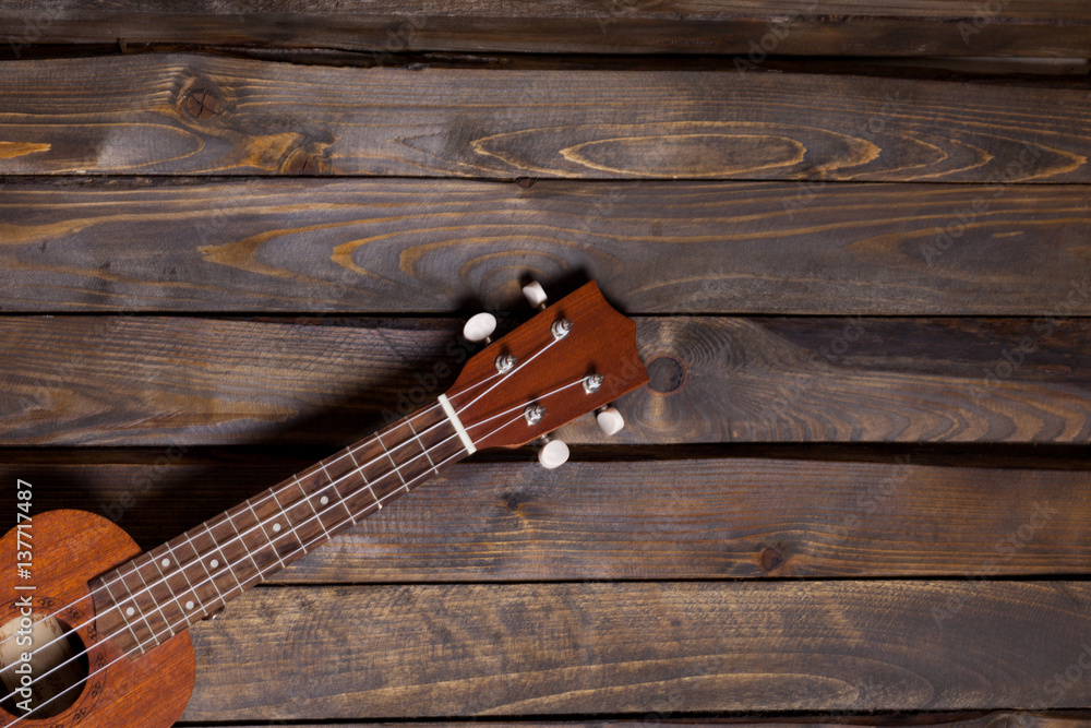 Musical string instrument ukulele Musical string instrument ukulele
