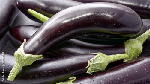 eggplant purple