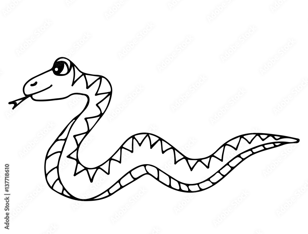 Fototapeta premium Cute snake isolated on the white background