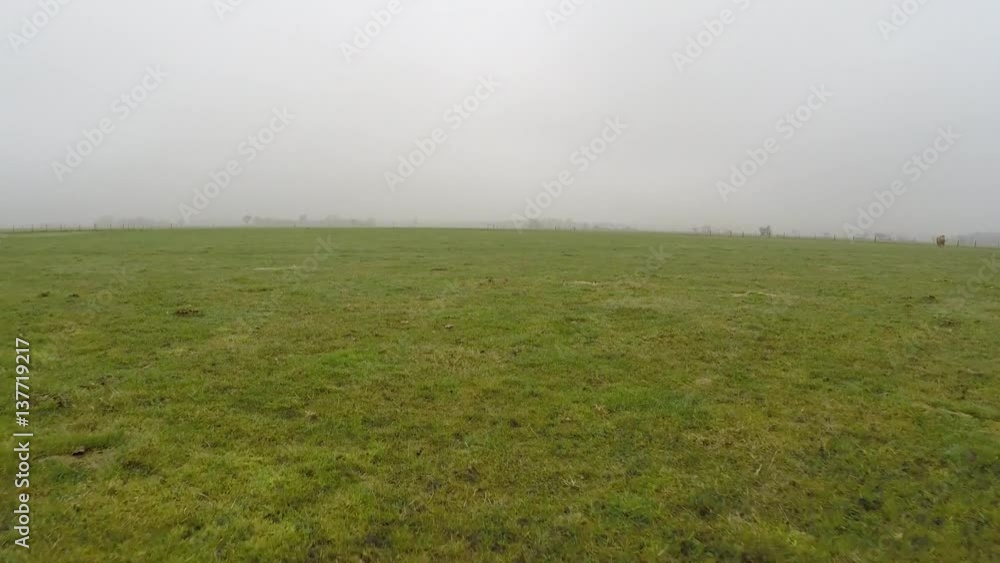Aerial flying very low over foggy misty grassland under half a meter altitude showing mist in background low visibility great and stable flight over green grass landscape scenery during winter 4k Aerial flying very low over foggy misty grassland under half a meter altitude showing mist in background low visibility great and stable flight over green grass landscape scenery during winter 4k