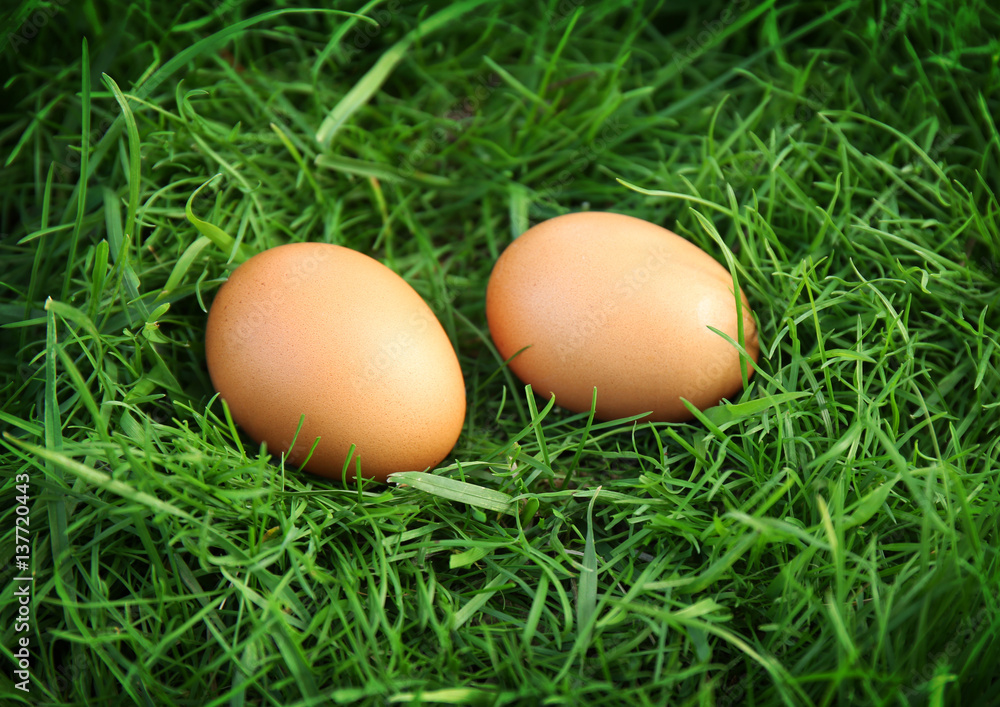 Raw eggs on green grass background Raw eggs on green grass background