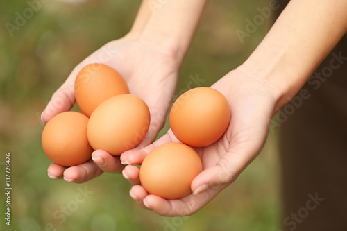 Female hands holding raw eggs, closeup