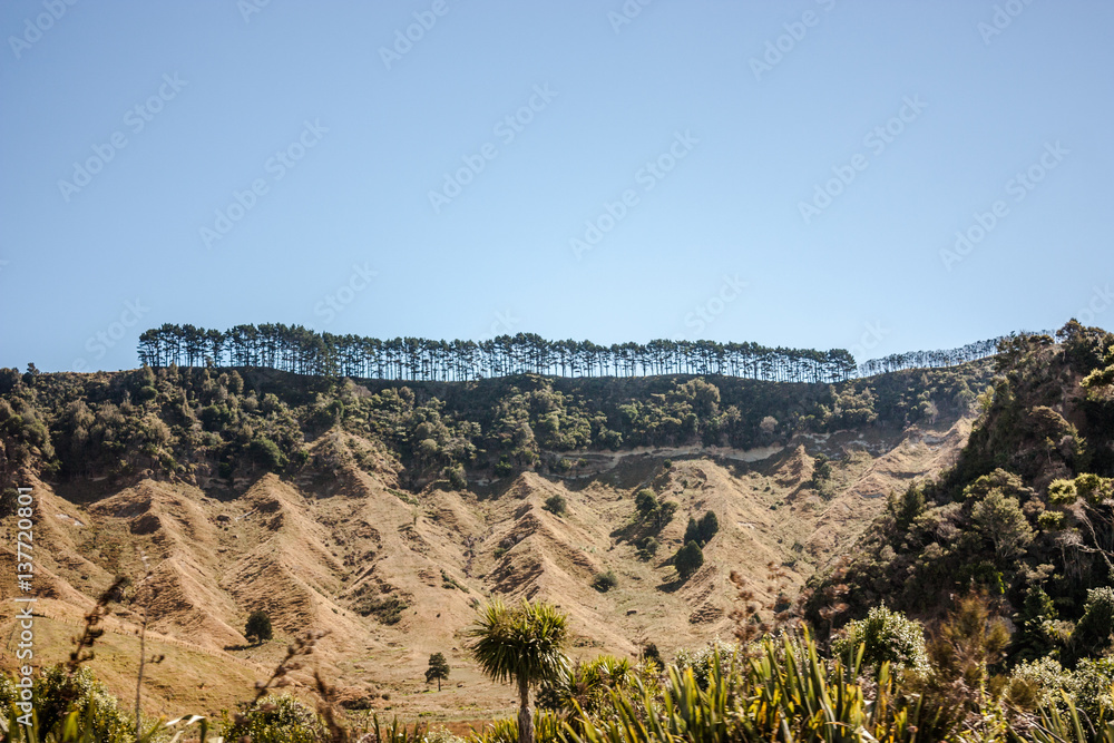 North Island, New Zealand