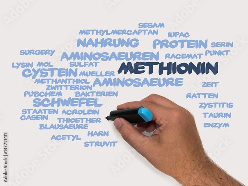 Methionin photo