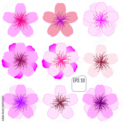 Cherry blossom icon set. Vector