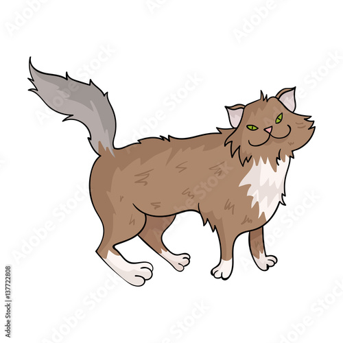 Norwegian Forest Cat icon in cartoon style isolated on white background. Cat breeds symbol stock vector illustration.