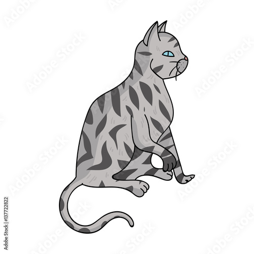 American Shorthair icon in cartoon style isolated on white background. Cat breeds symbol stock vector illustration.