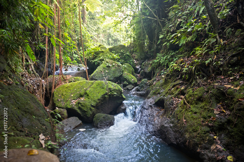 stream at sacred monkey forest