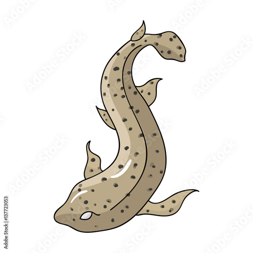 Catshark icon in cartoon style isolated on white background. Sea animals symbol stock vector illustration. photo