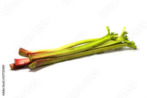 rhubarb stalks fresh and organic isolated on a white