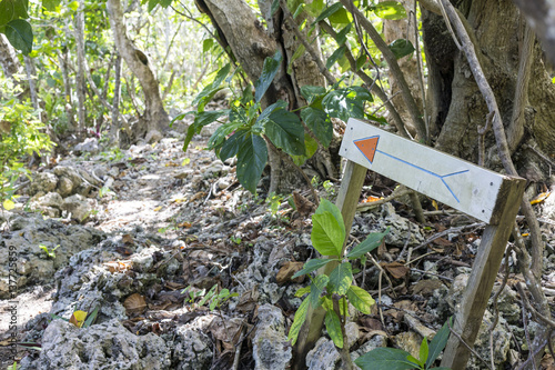 Direction arrow on coral walkway through lush tropical bush, to Talava Arches, Niue, South Pacific