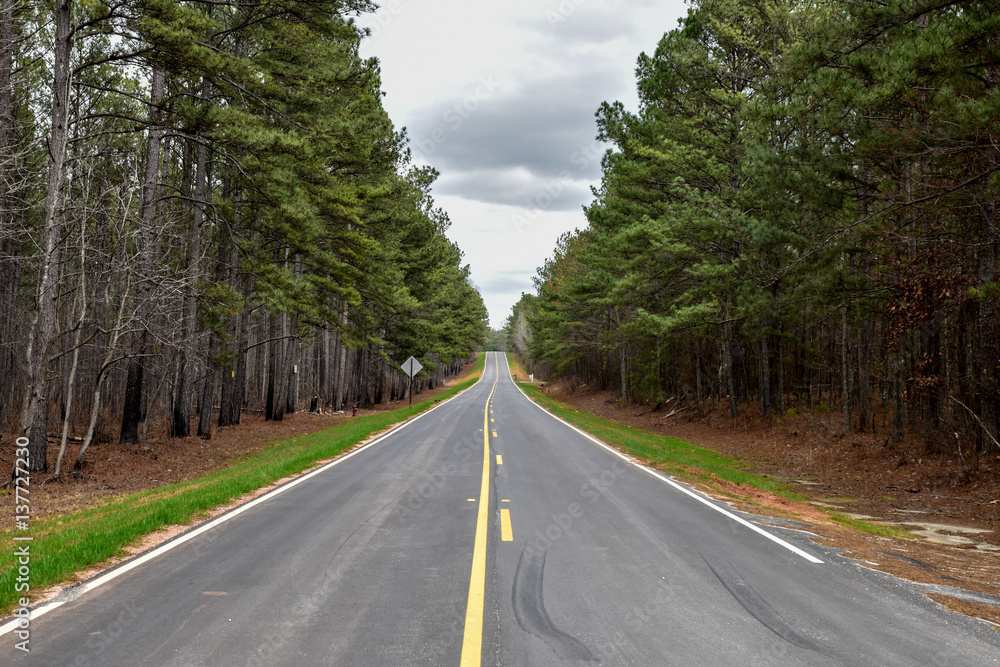 Obraz premium Country road leading out of town
