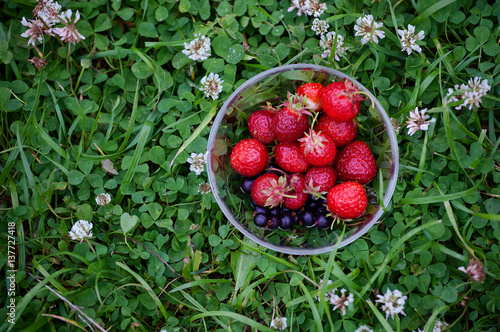 Wallpaper Mural Bowl with red strawberries on a background of green clover Torontodigital.ca