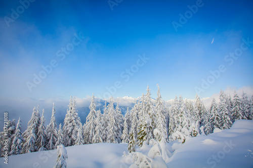 mountain_snow_landscape_ski_tree
