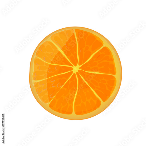 Cut fresh ripe orange. Vector illustration.