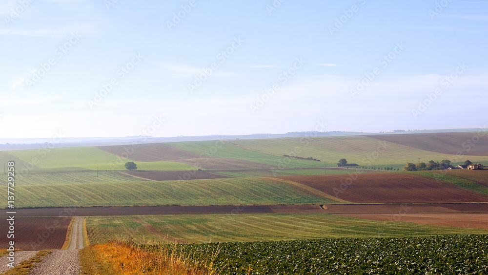 Cultivated farm field landscape in France. Green hills over blue sky. Harvesting time.