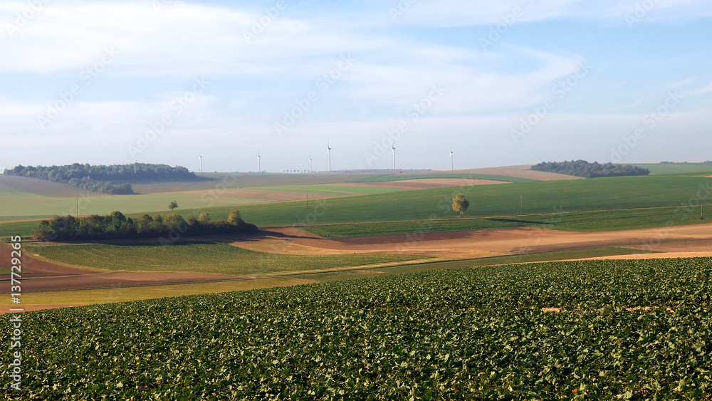 Cultivated farm field landscape in France. Green hills over blue sky. Harvesting time.
