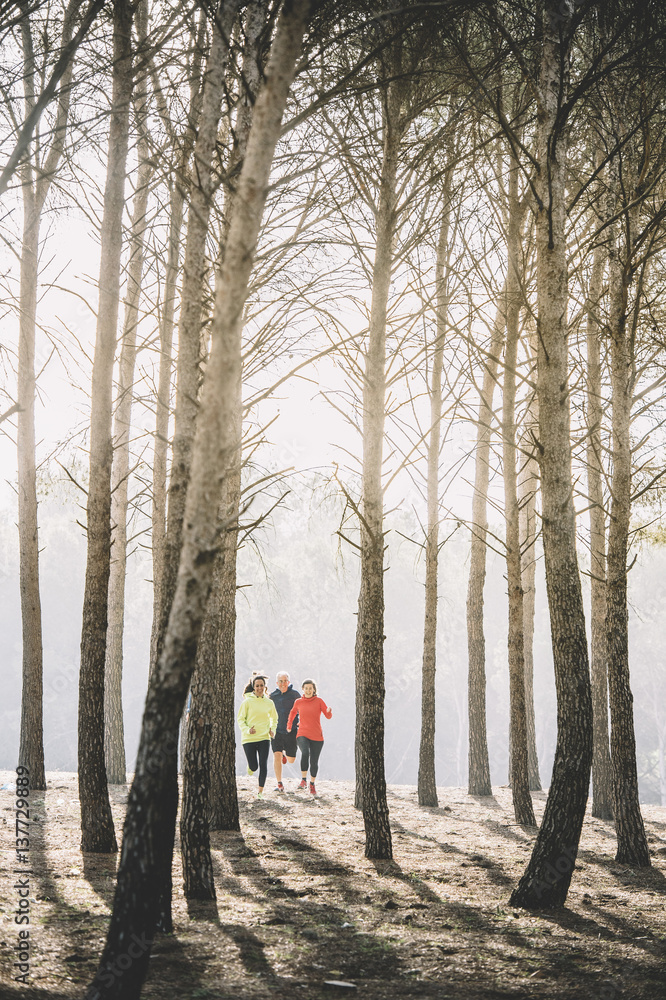 Fototapeta premium A group of athletes running in the forest.