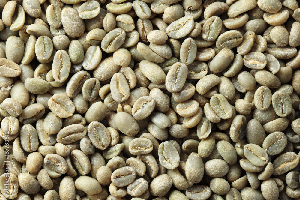 green coffee bean background