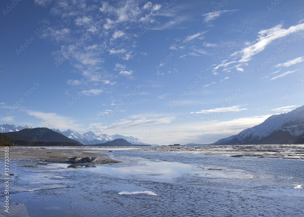 Chilkat Esturary with Melting Ice