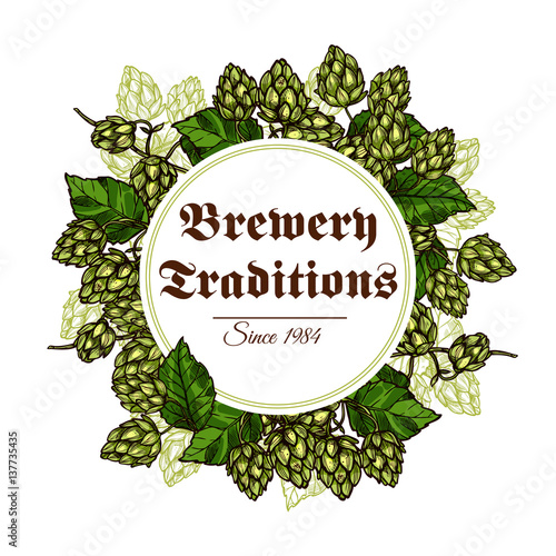 Hop branches and cones poster vector