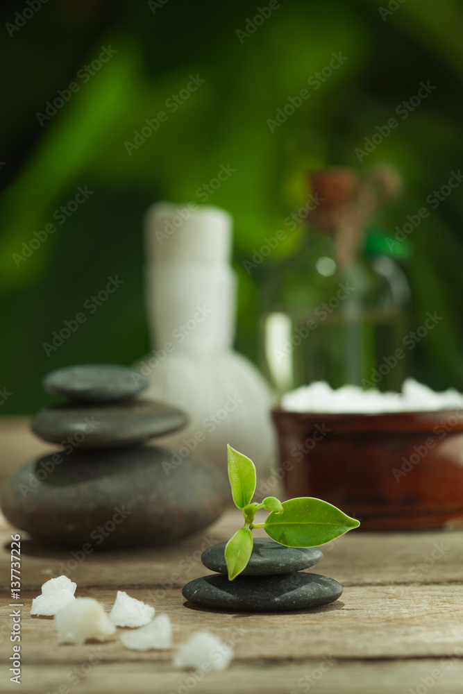 close up view of spa theme objects on color back close up view of spa theme objects on color back