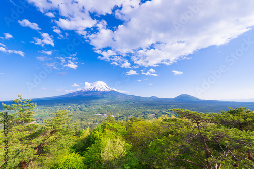 Spring Landscape of Mount Fuji in Yamanashi Japan