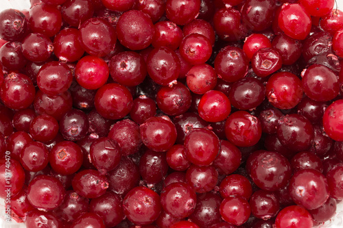 fresh cranberries on a white background