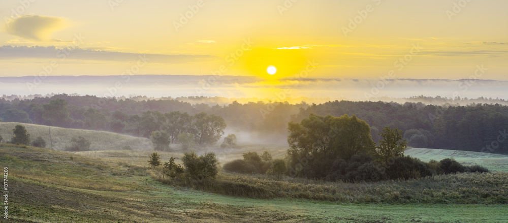 Misty morning